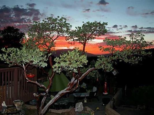 32538 Cam Moro - Photo 3 of 13