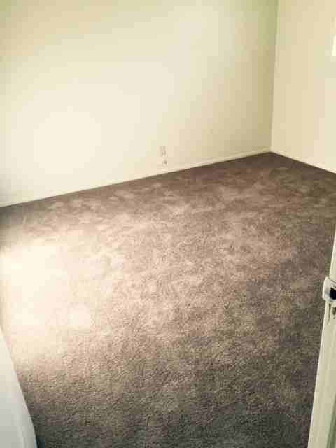 4827 Live Oak St - Photo 3 of 4