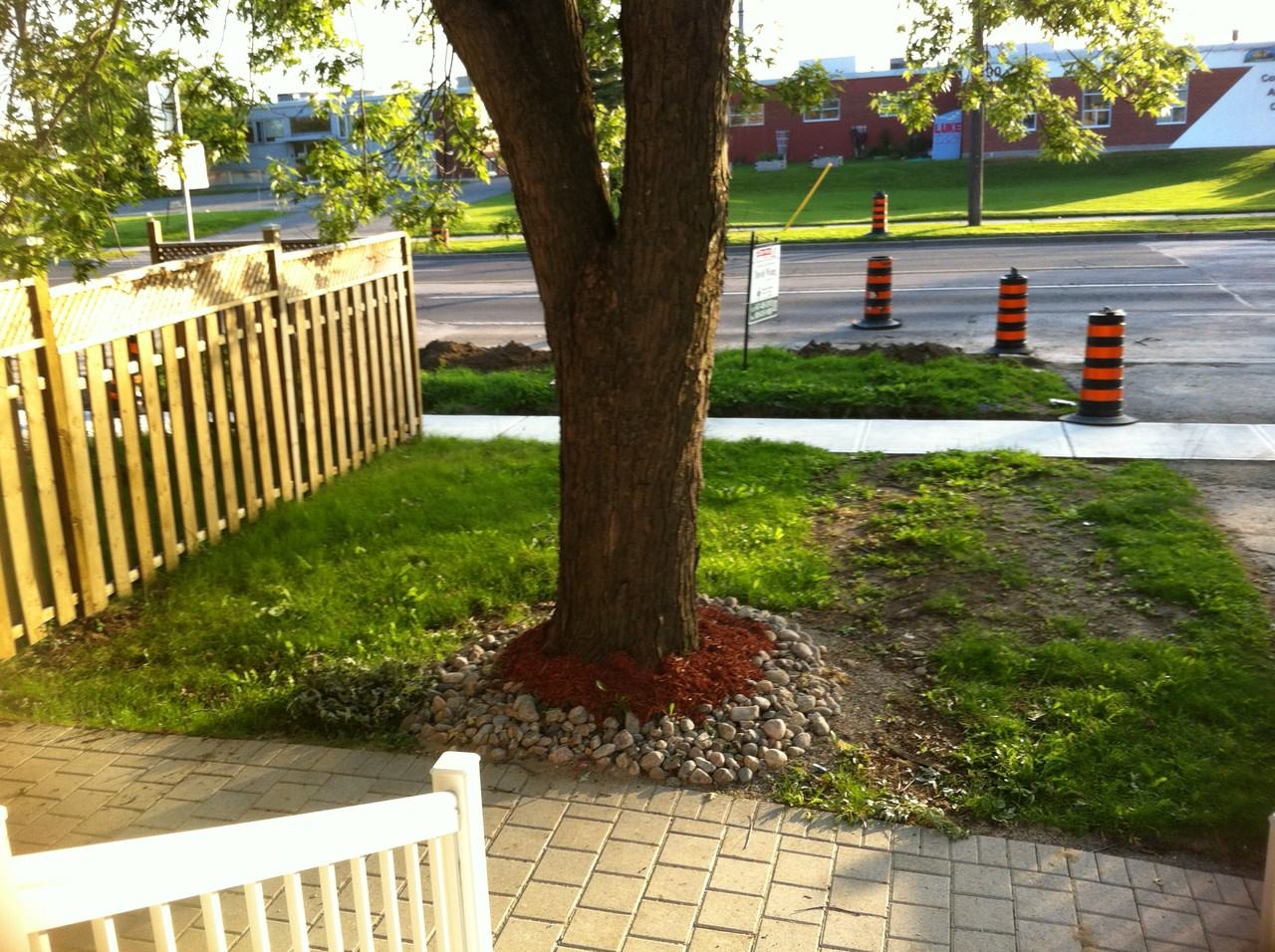 1463 Birchmount Rd #A - Photo 3 of 7