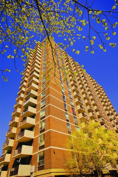 2201 Riverside Dr, Ottawa, ON K1H 8K5 1 Bedroom Apartment for Rent for