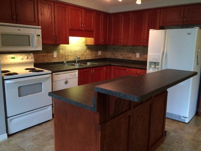 525 Virginia Creeper St - Photo 3 of 9