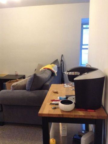 467 Slater St #315 - Photo 2 of 6