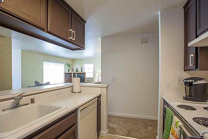 686 Applause Pl - Photo 3 of 10