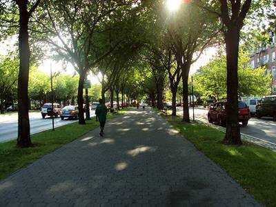 670 Eastern Pkwy