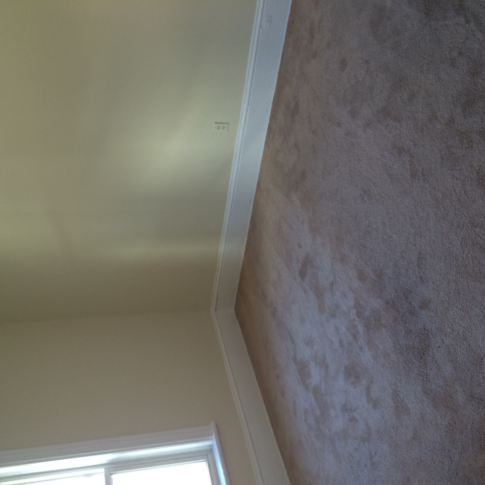 217 Laurier Ave - Photo 2 of 3