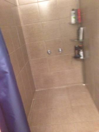 2180 Avenue de Lorimier 2180 - Photo 2 of 6