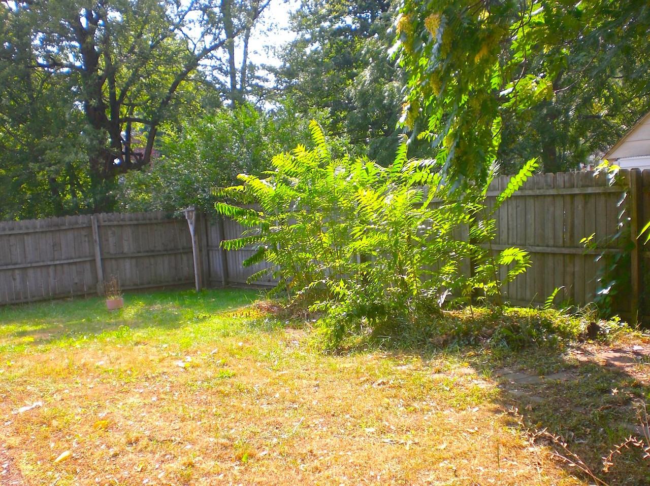 1438 Scenic Way - Photo 3 of 14