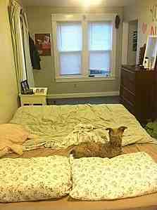 14 Cherry St - Photo 2 of 3