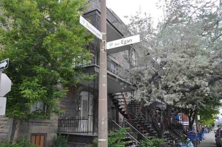 5545 Av Bannantyne #5545-5539 - Photo 2 of 8