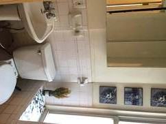 234 Thompson 4 - Photo 3 of 3