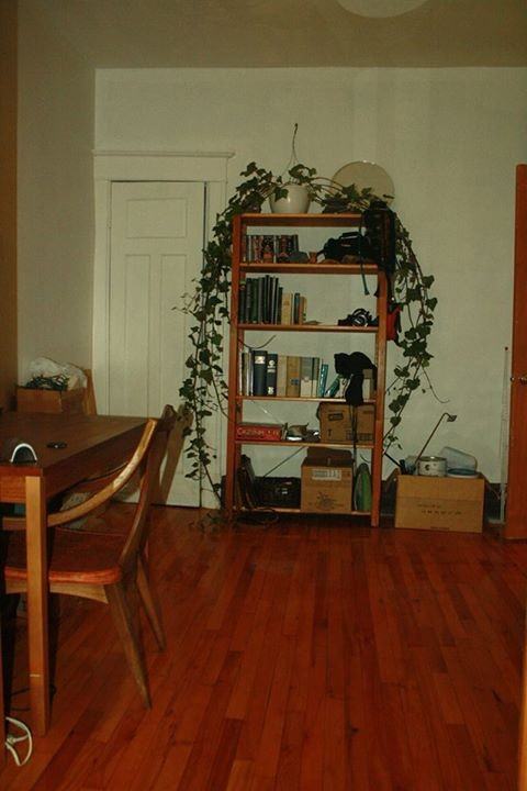 3292 Rue Adam - Photo 3 of 7