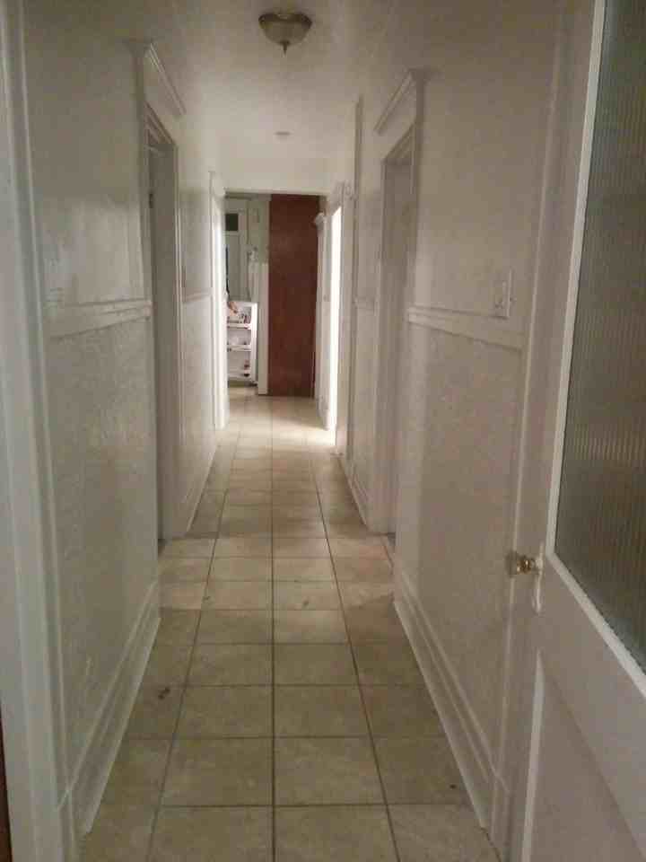 6741 Avenue Papineau - Photo 3 of 5