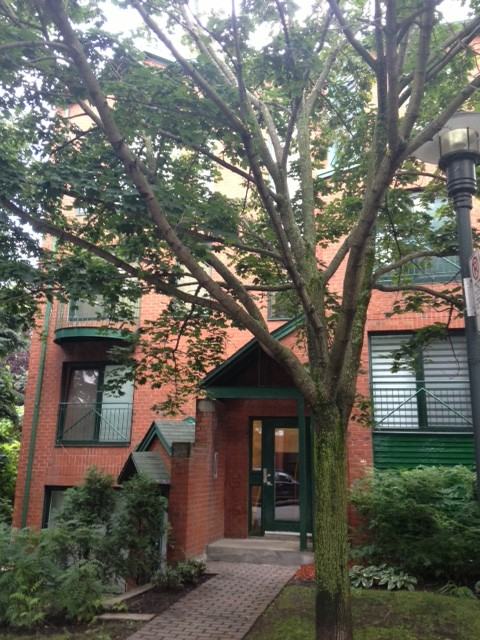 587 Rue de la Noue #587 - Photo 3 of 5