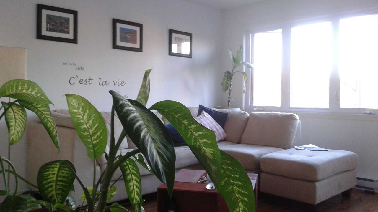 793 5e Avenue #2 - Photo 3 of 4