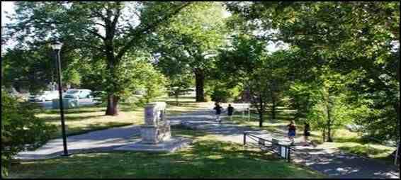 1110 3 Ave NW - Photo 3 of 13