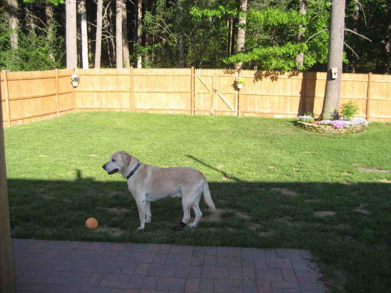 17 Baltimore Rd - Photo 2 of 6