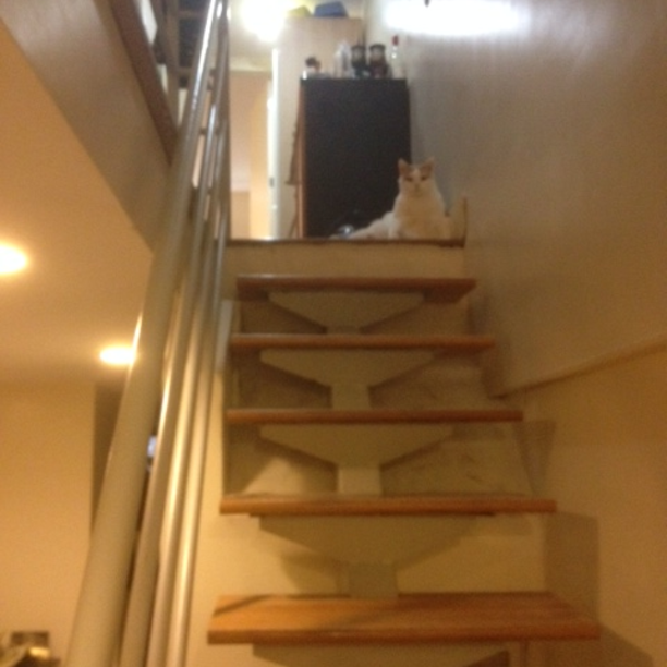 41 Havemeyer Rd 1L - Photo 2 of 7