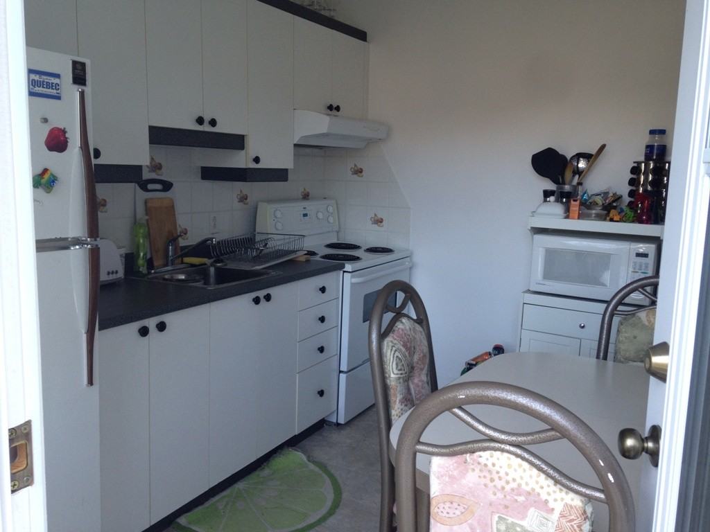 7445 Rue de Normanville - Photo 3 of 11