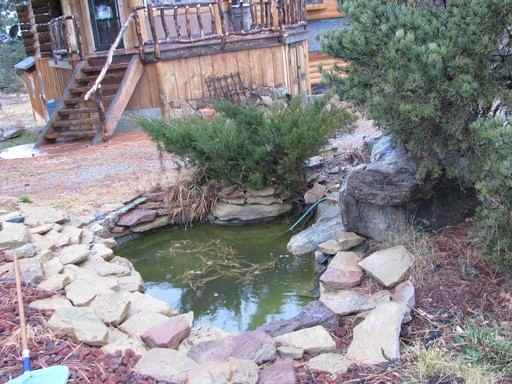 30981 V 6 - Photo 3 of 45