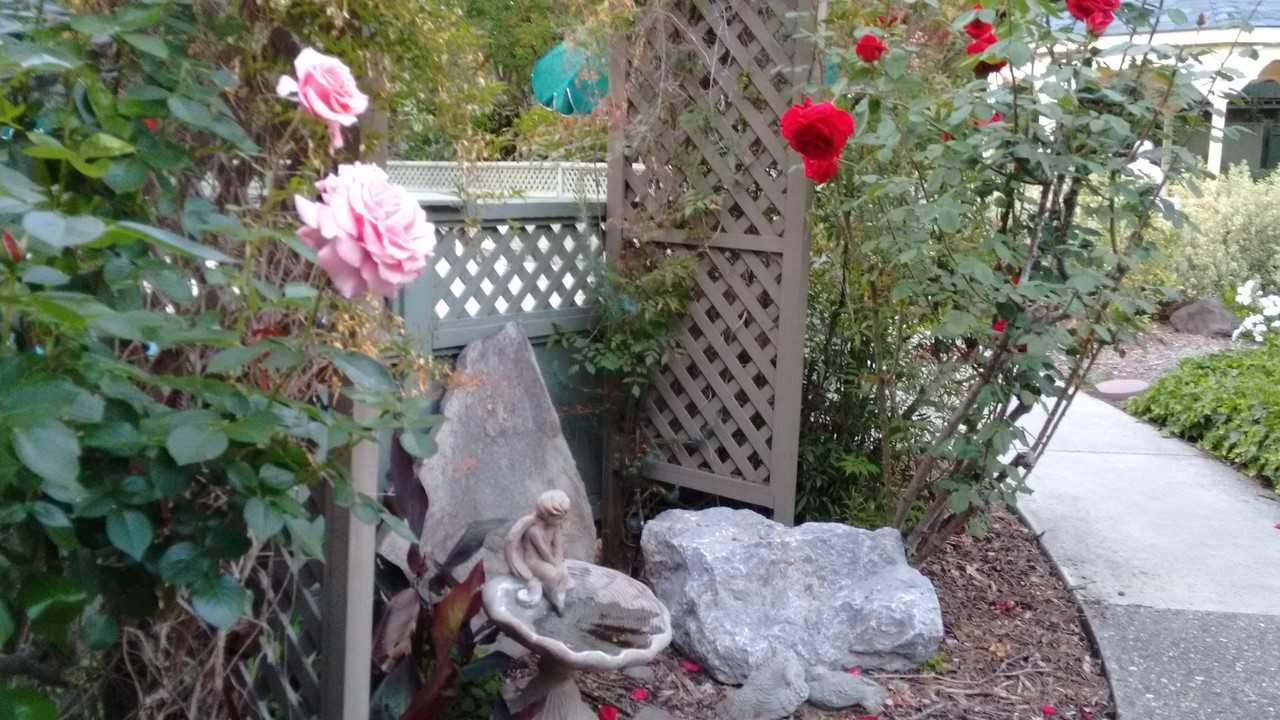 240 Monroe Dr #102 - Photo 3 of 14