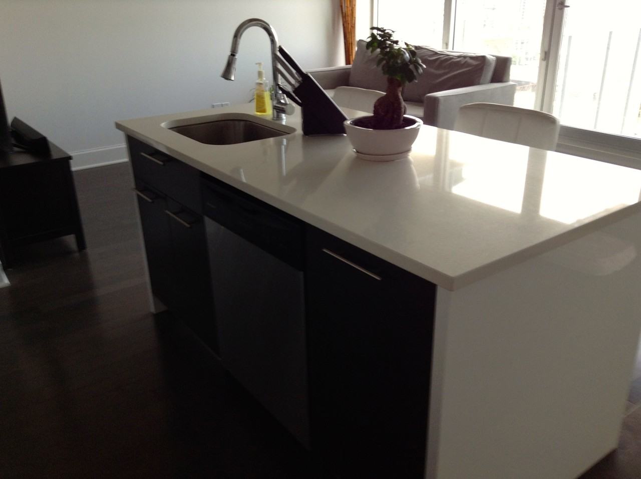 Le Griffix 1045 Wellington, Montreal, H3C 1V6 - Photo 2 of 18