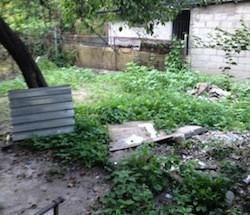 445 Rogers Ave #1B