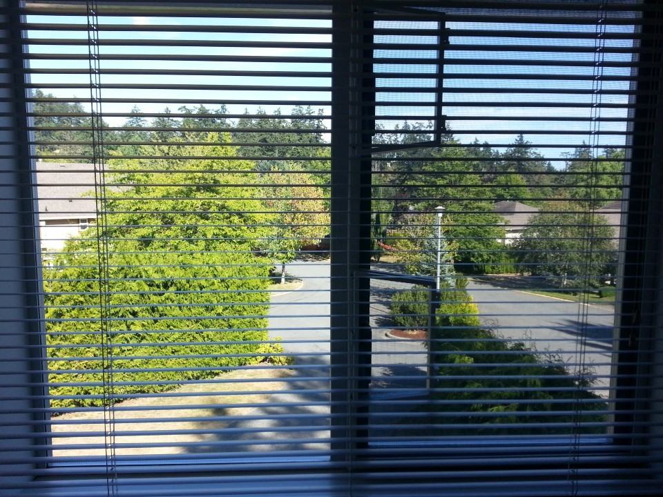 1982 Chalmers Ct - Photo 3 of 4