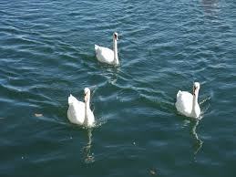 2715 E 15th St 1 - Photo 2 of 3