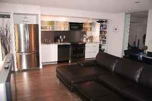 4K Spadina Ave #1522