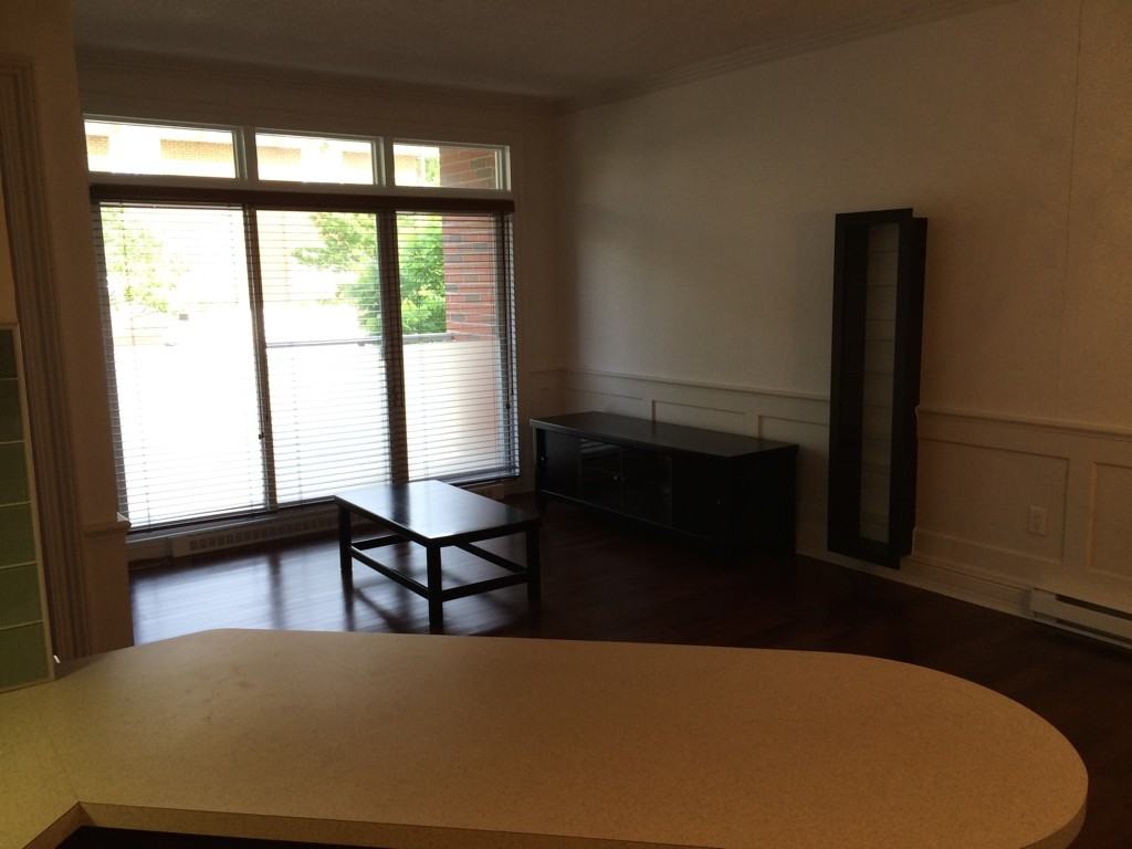 138 Rue de Maisonneuve #103 - Photo 3 of 8