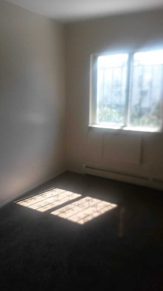 1186 Madison St, New York, NY 11221 3 Bedroom Apartment for Rent