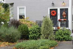 85 Vernon St - Photo 1 of 1