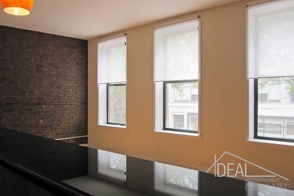 155 Court St #3 - Photo 2 of 8