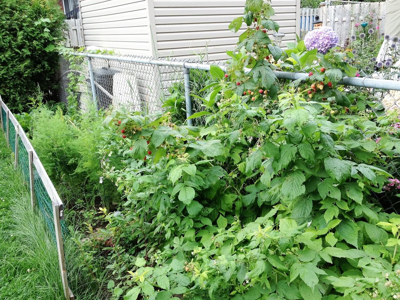 1050 Rue Addington - Photo 2 of 19