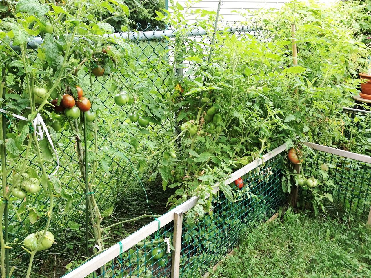 1050 Rue Addington - Photo 3 of 19