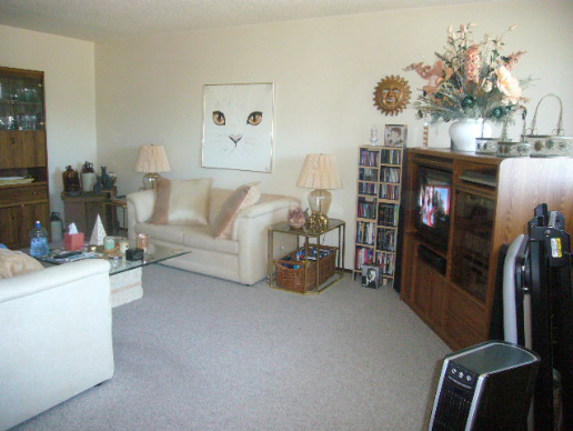 4804 46 Ave - Photo 6 of 12