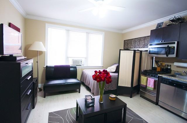 839 W Diversey Pkwy #207