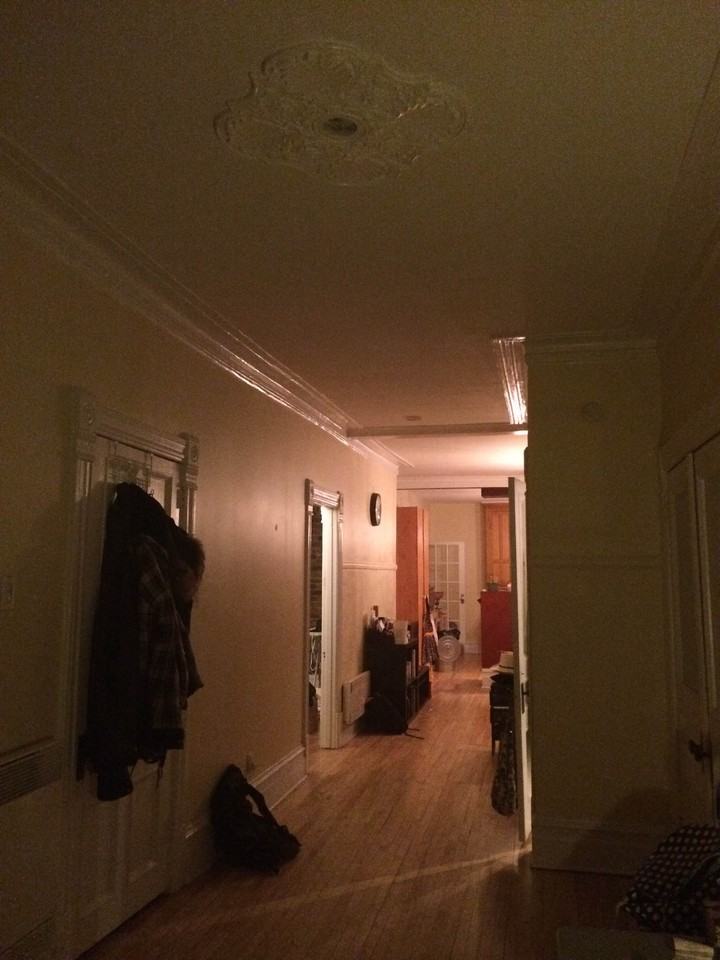 4244 Avenue Papineau - Photo 3 of 10