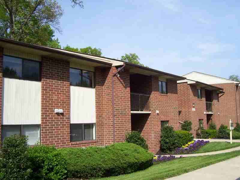 Autumn Woods - Photo 2 of 15