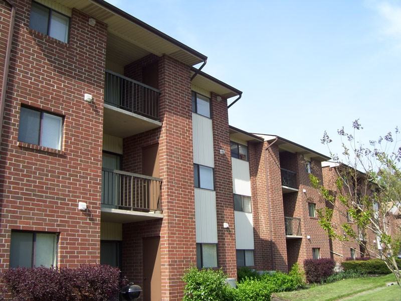 Autumn Woods - Photo 3 of 15