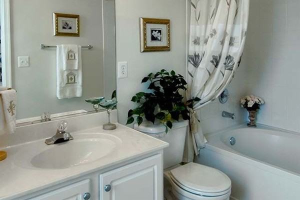 Avalon Woodland Park - Photo 3 of 29