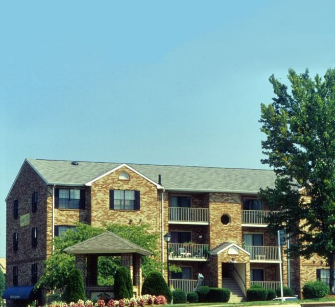 Dale Forest Brightwood Forest - Photo 3 of 11