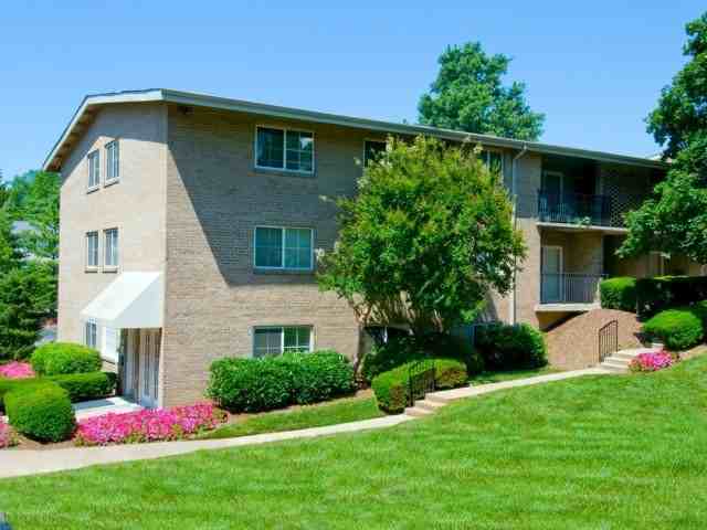 Hillwood & StoneRidge at Mark Center - Photo 2 of 50