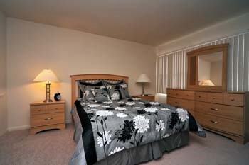 University Gardens - Photo 2 of 31