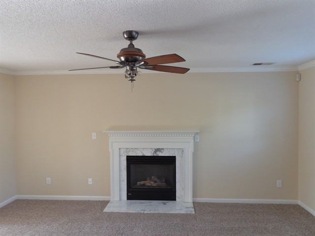 15464 Stone Hollow Dr - Photo 3 of 12