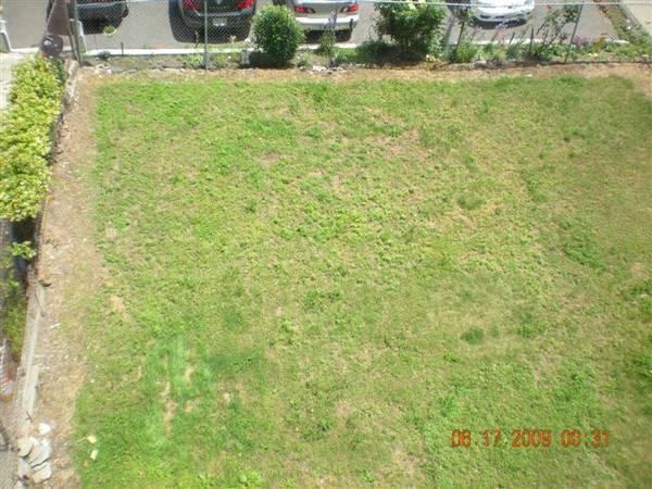 43 Mozart St #2 - Photo 3 of 8