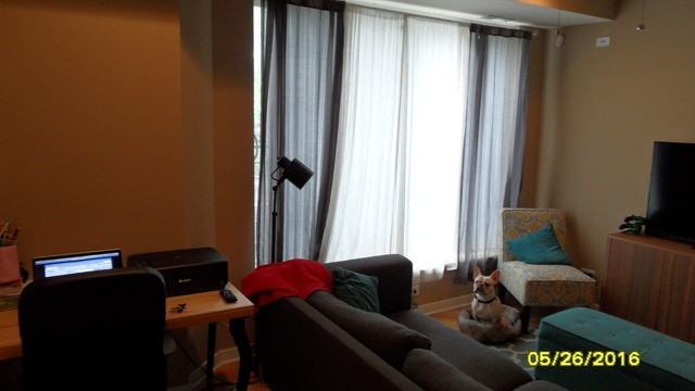 3914 N Kedvale Ave #2 - Photo 2 of 11