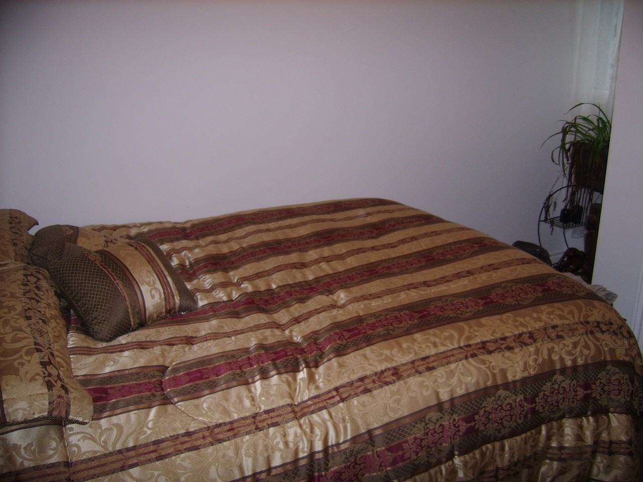 310 Rue Desmarteau - Photo 3 of 7