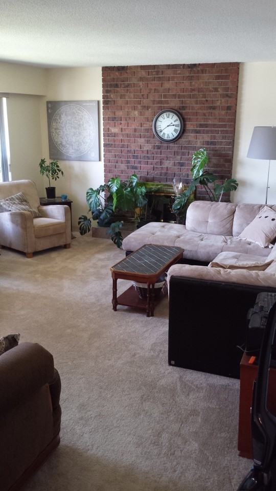 9771 Seabright Road - Photo 3 of 18