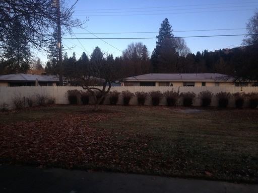 3806 W Delbert Ave - Photo 3 of 13